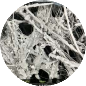 SEM image of another supplier's separator showing floccules between fibers